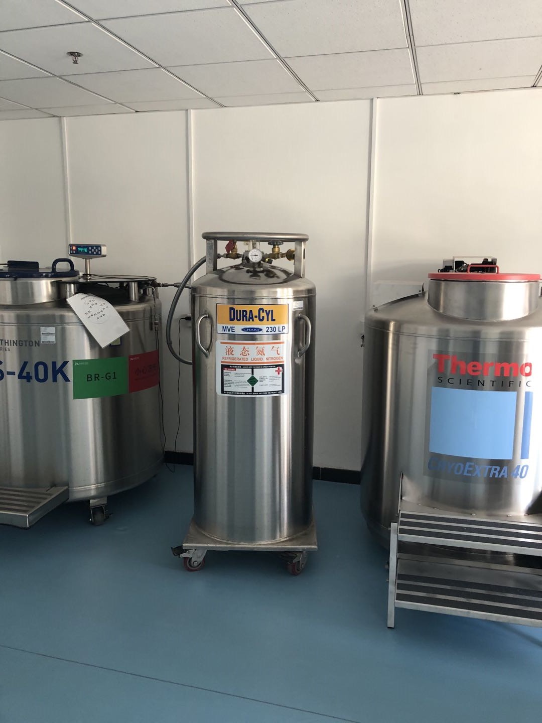 mve液氮罐 mve液氮罐